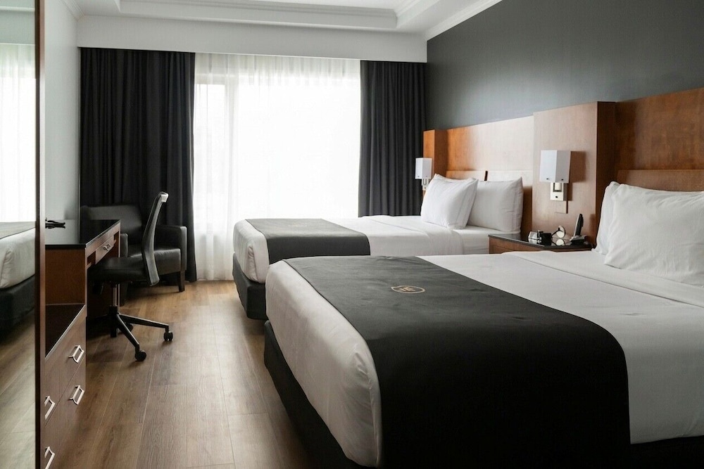 Hotel Suites Le Dauphin 16/74