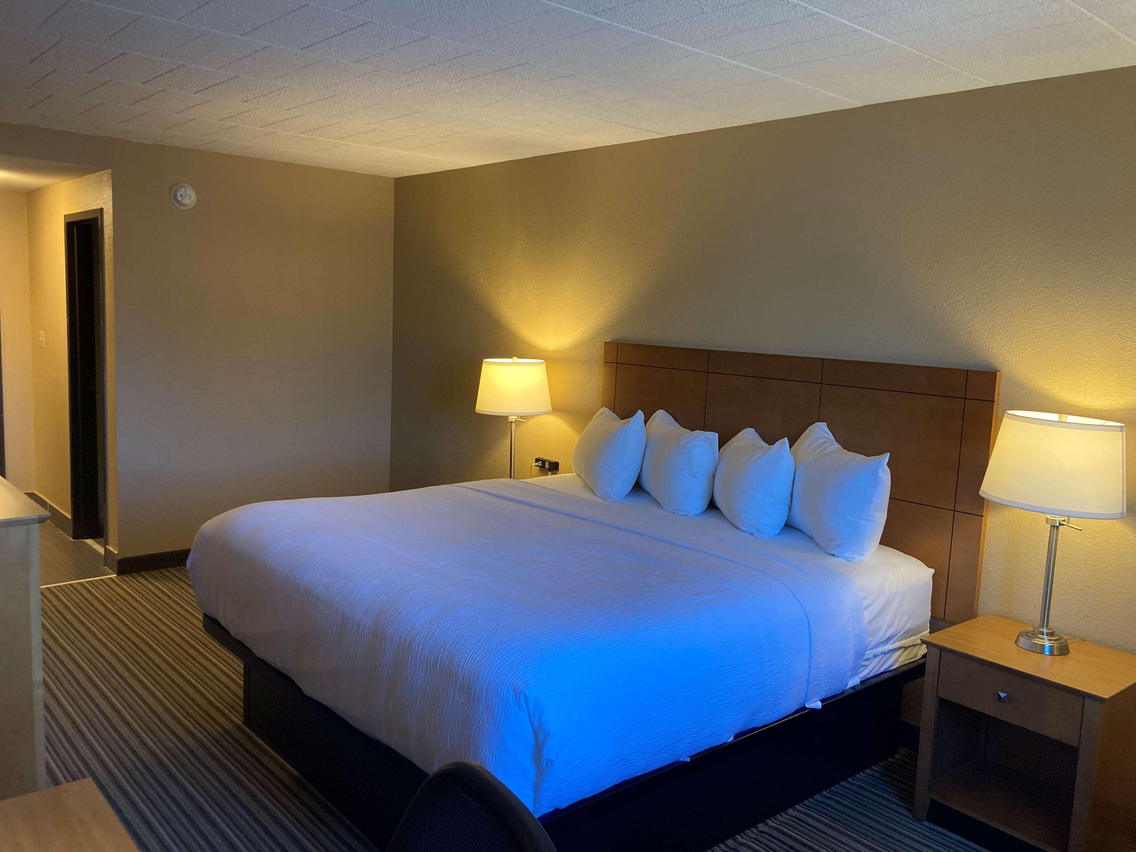 Room, King Bed, Pet Friendly
