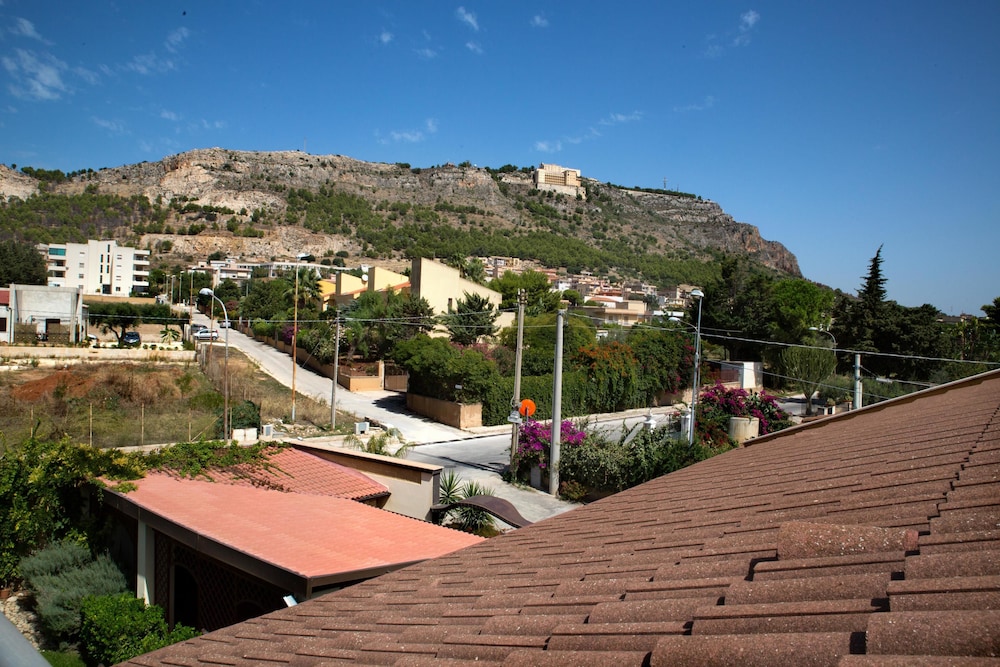 Il Mandorlo 1/44