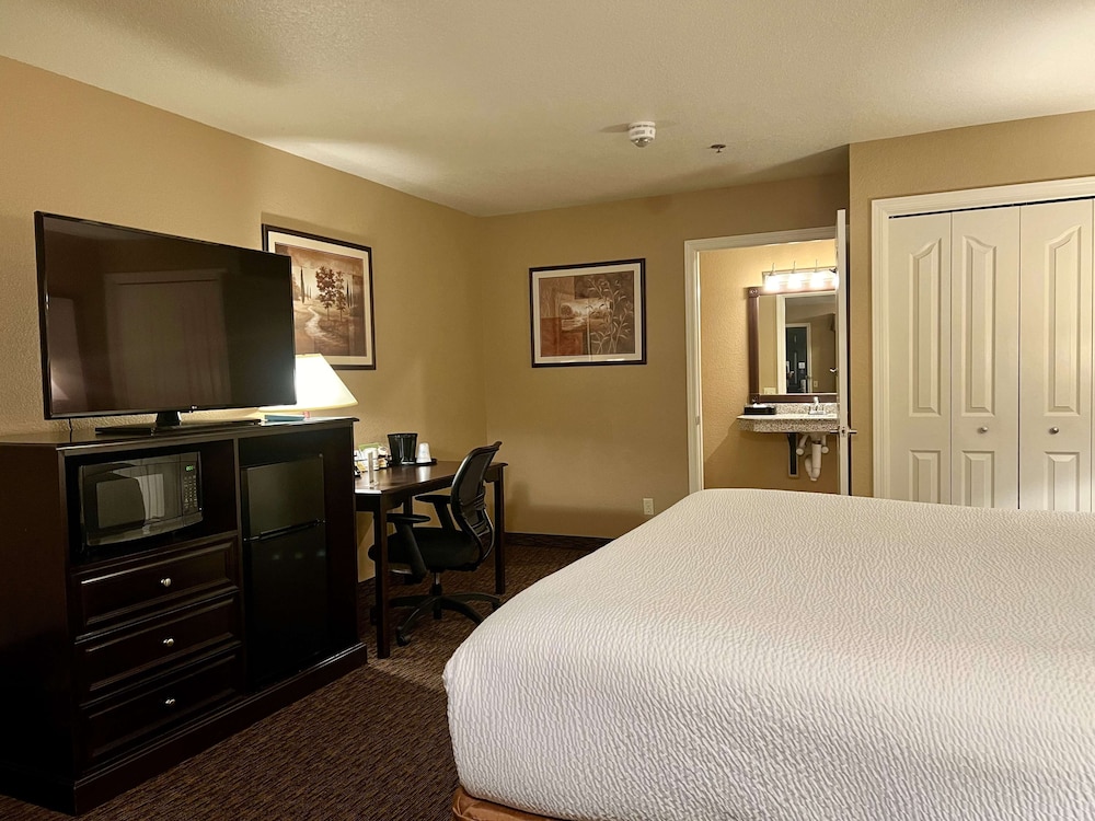 Standard, King Bed, Accessible