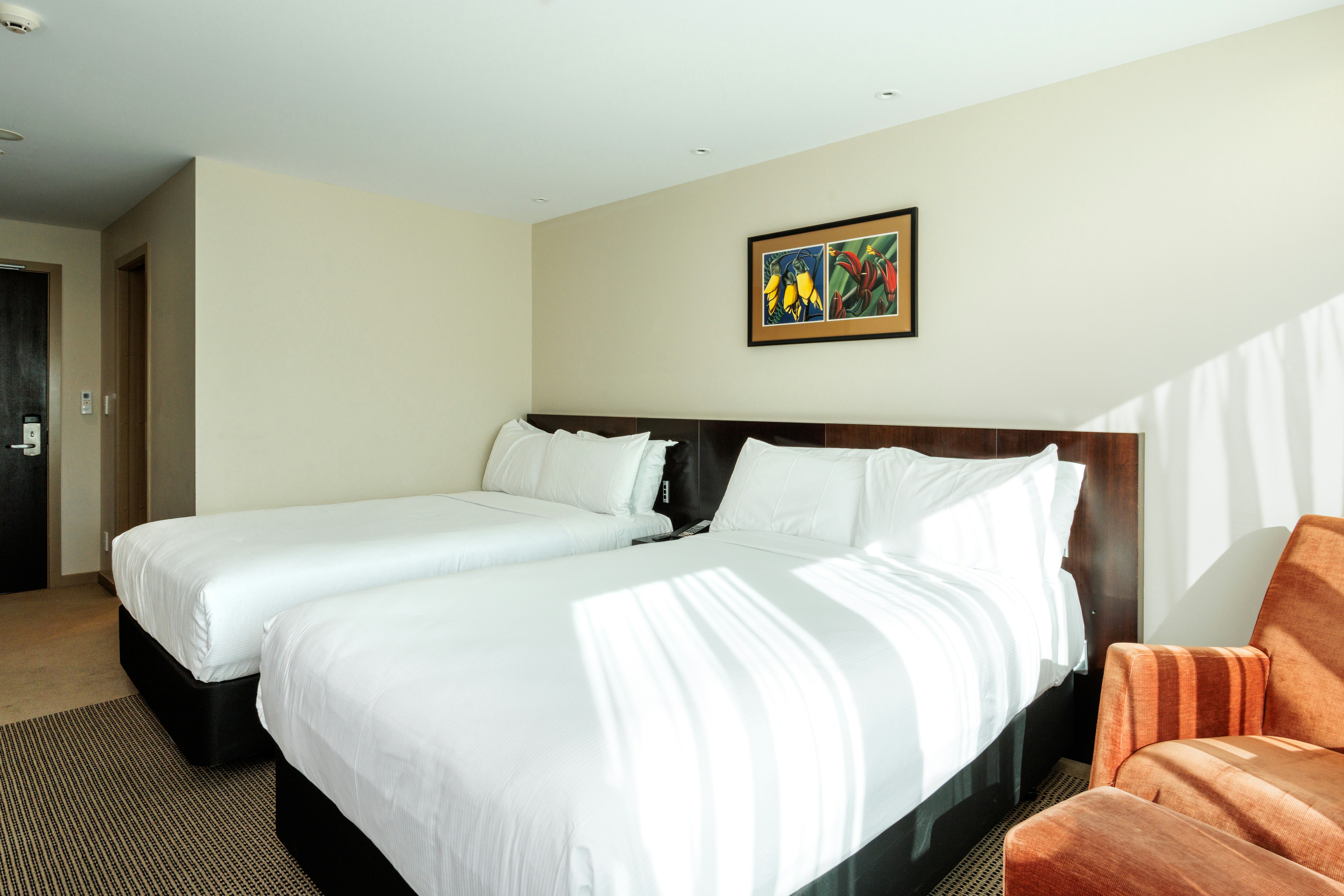 Room at Copthorne Hotel Wellington Oriental Bay, WELLINGTON - NZ