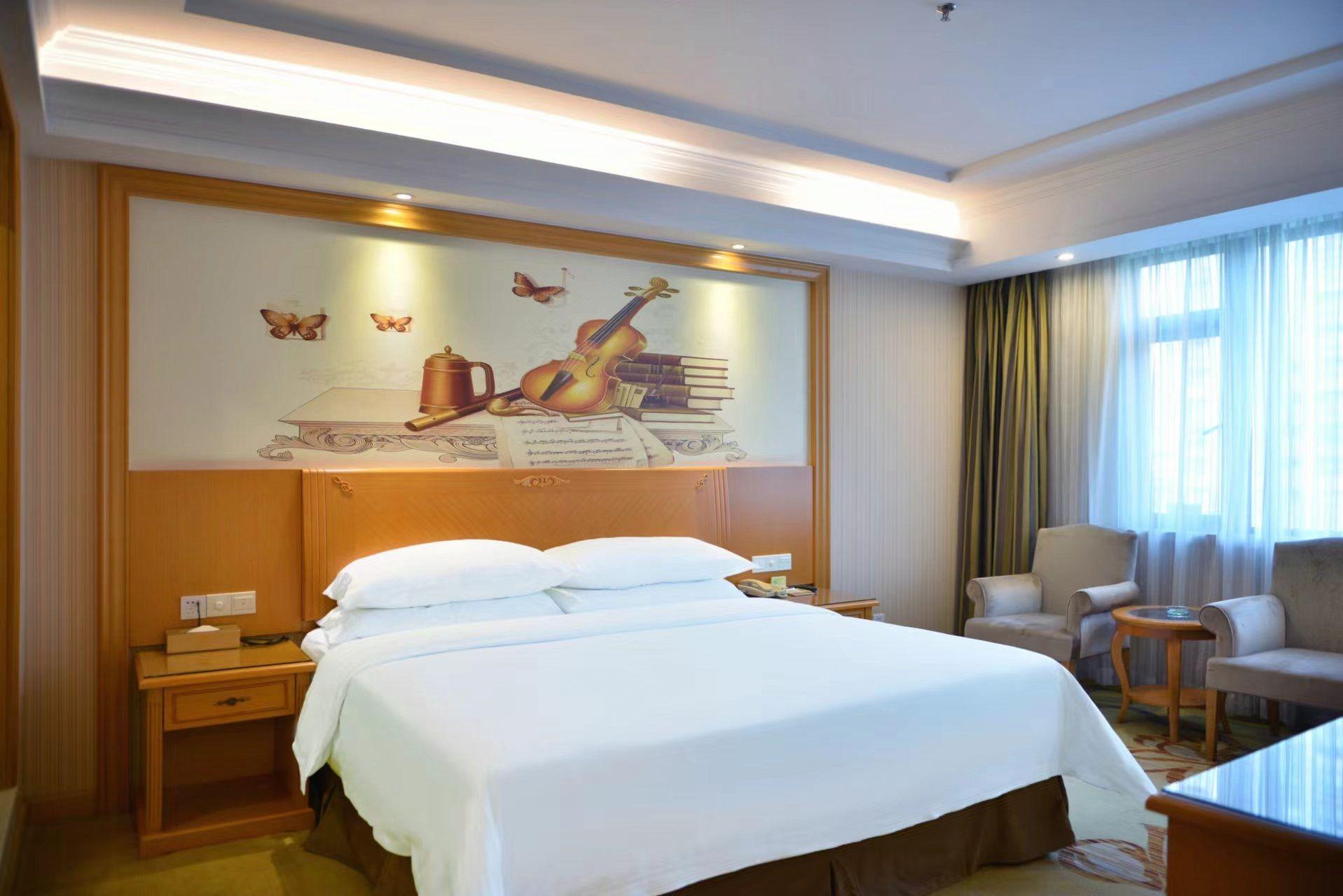 Vienna Hotel (Shenzhen Taoyuanju) 37/59