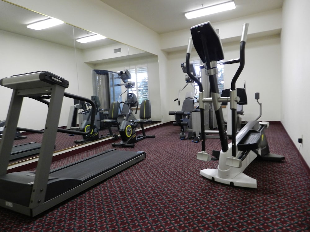 Ashmore Inn and Suites 26/61