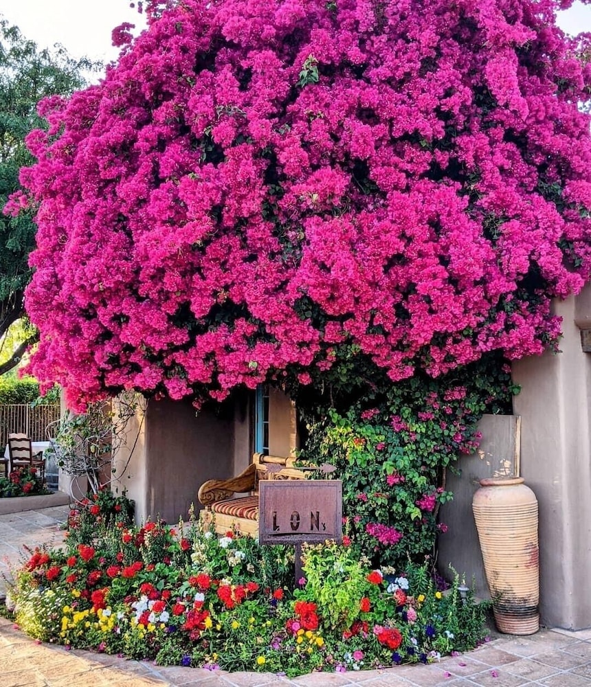 Hermosa Inn 42/44
