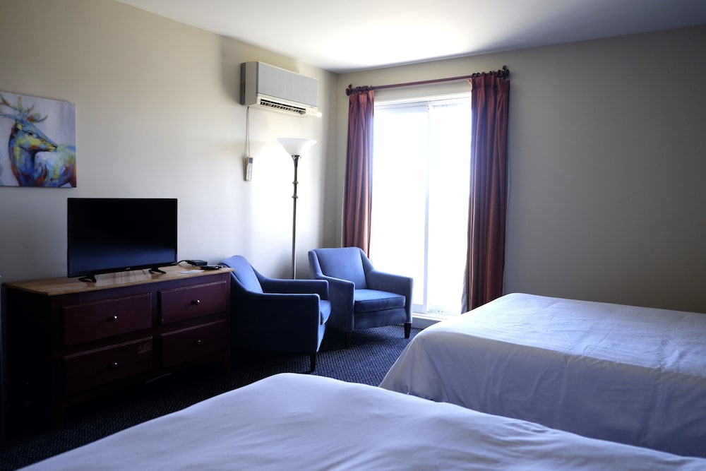 Auberge La Camarine 15/50