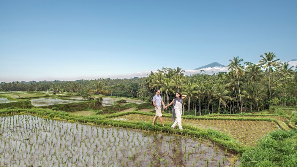 SAMSARA UBUD 41/50
