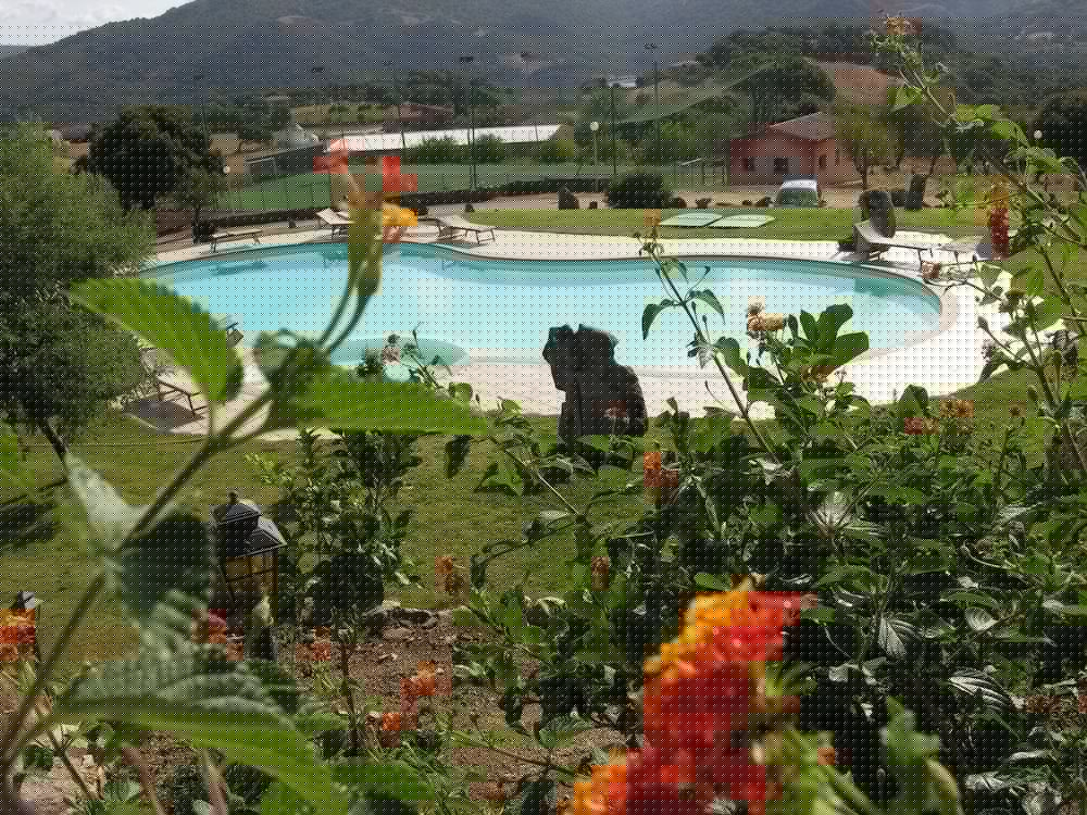 surroundings