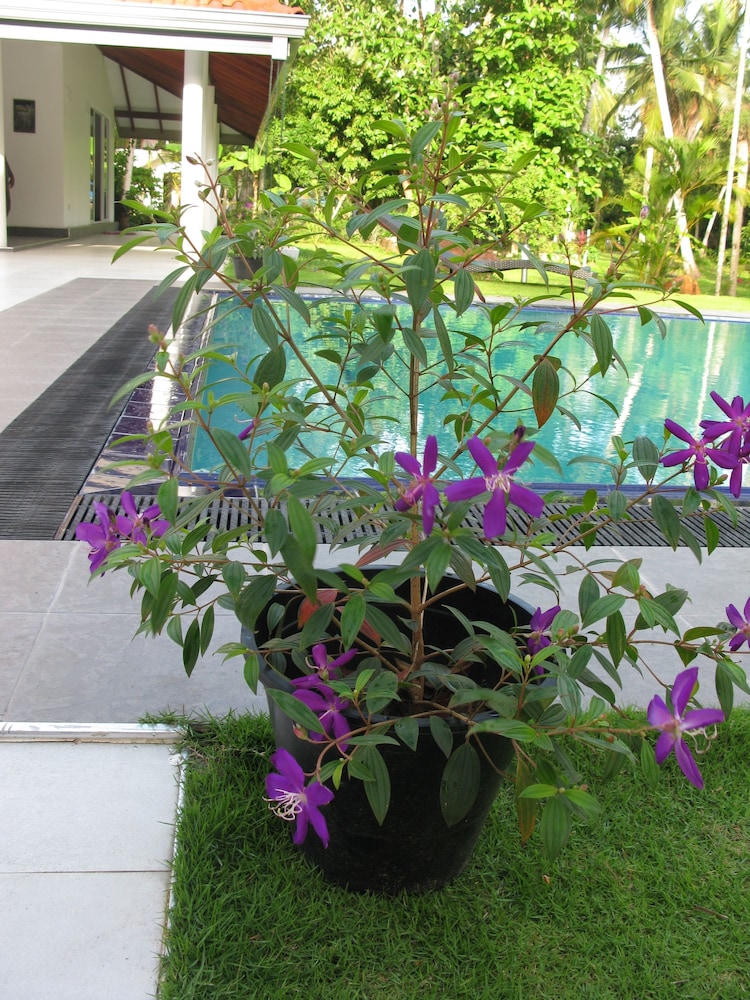 Anuhas Airport Villas 31/44