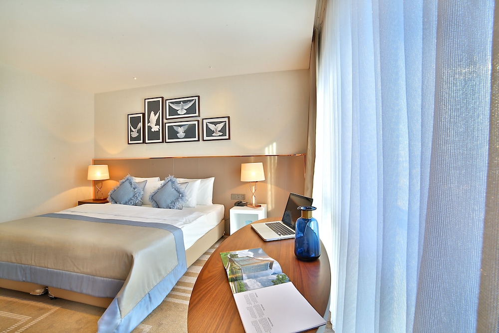 Lionel Hotel Istanbul 33/74