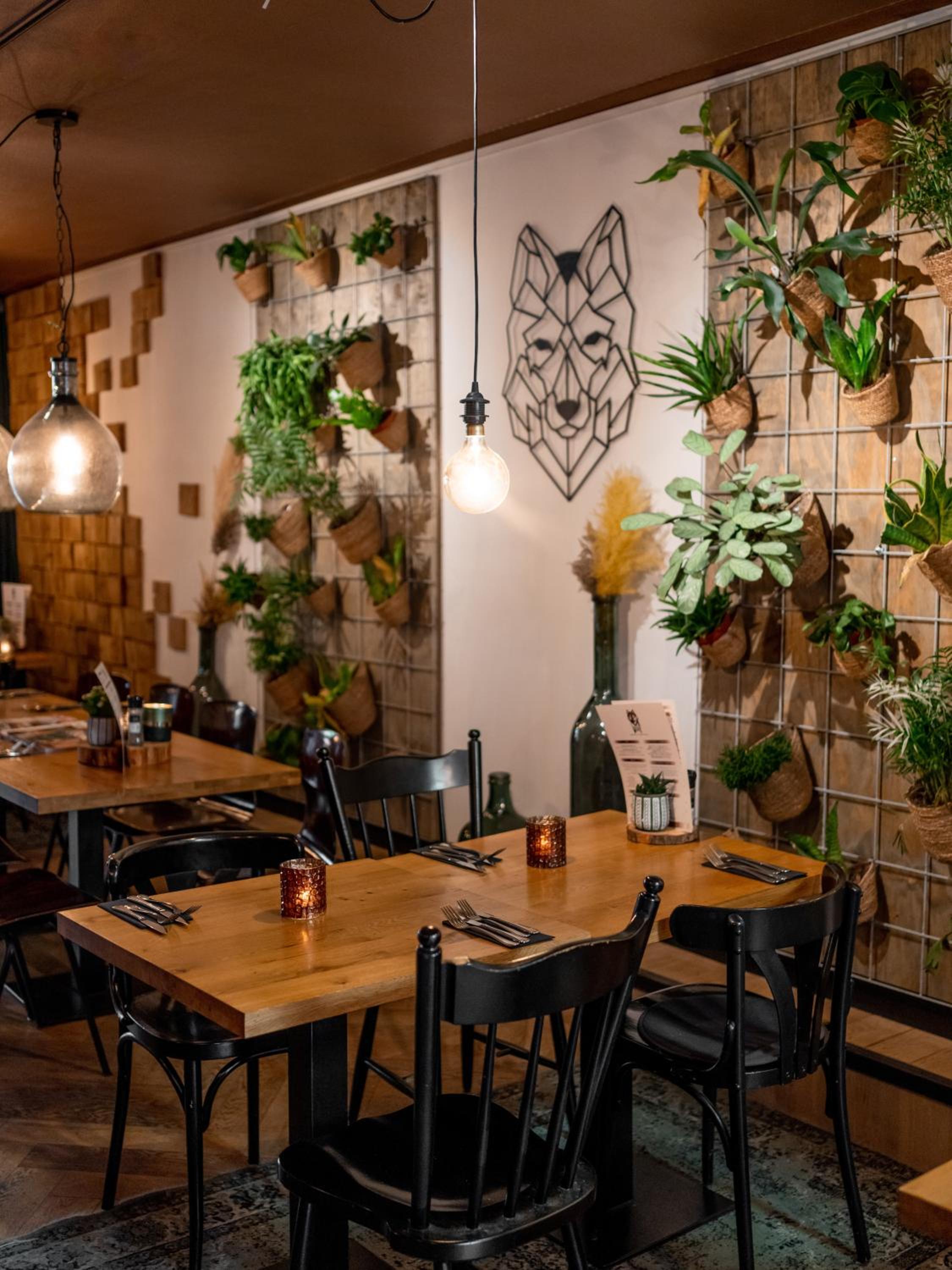 Wolf Hotel Kitchen & Bar 32/50
