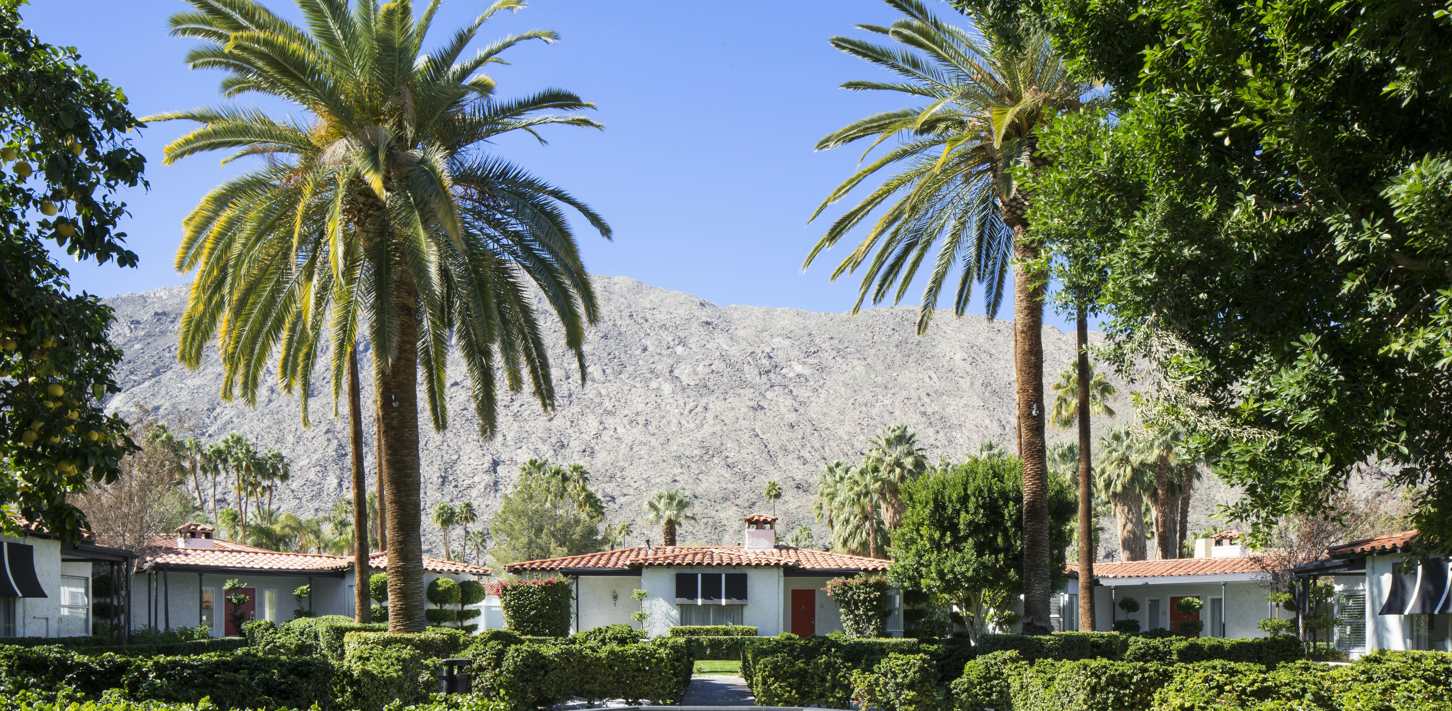 Avalon Hotel And Bungalows Palm Springs 72/85