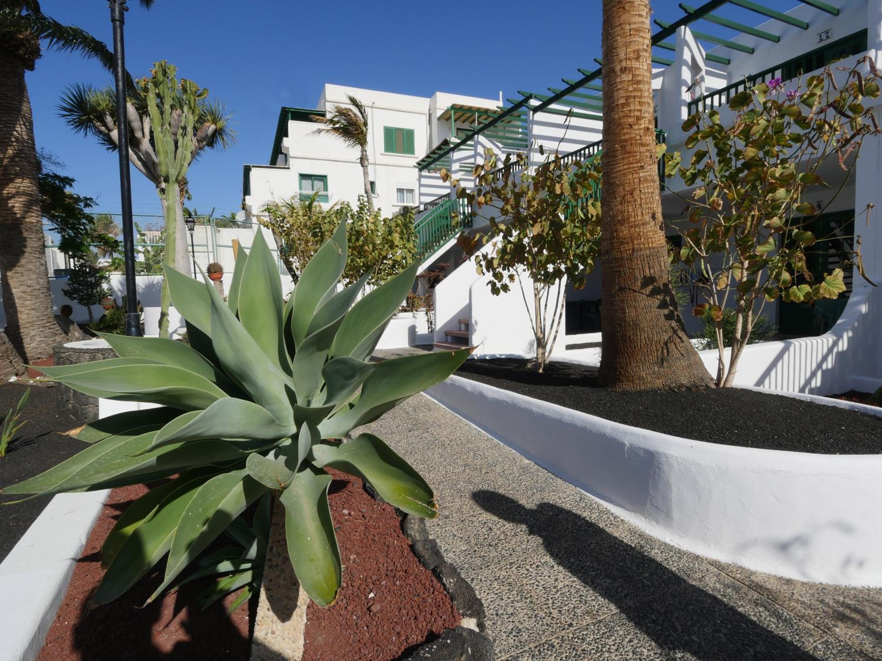 Tropicana Apartamentos 26/34