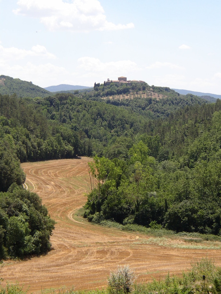 BOSCO DELLA SPINA 68/76