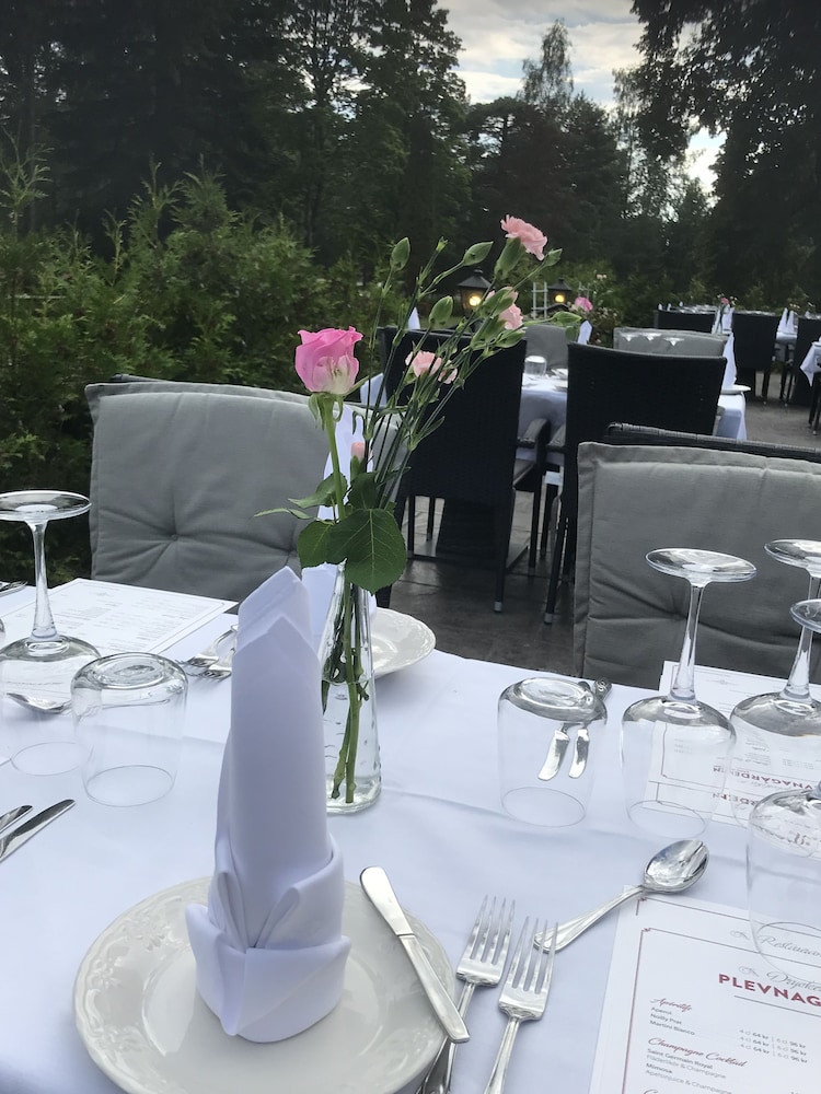 Hotell Plevnagården 29/36