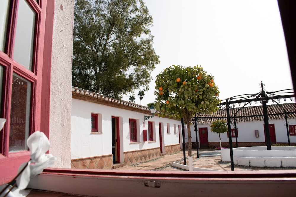 Cortijo del Arte 50/54