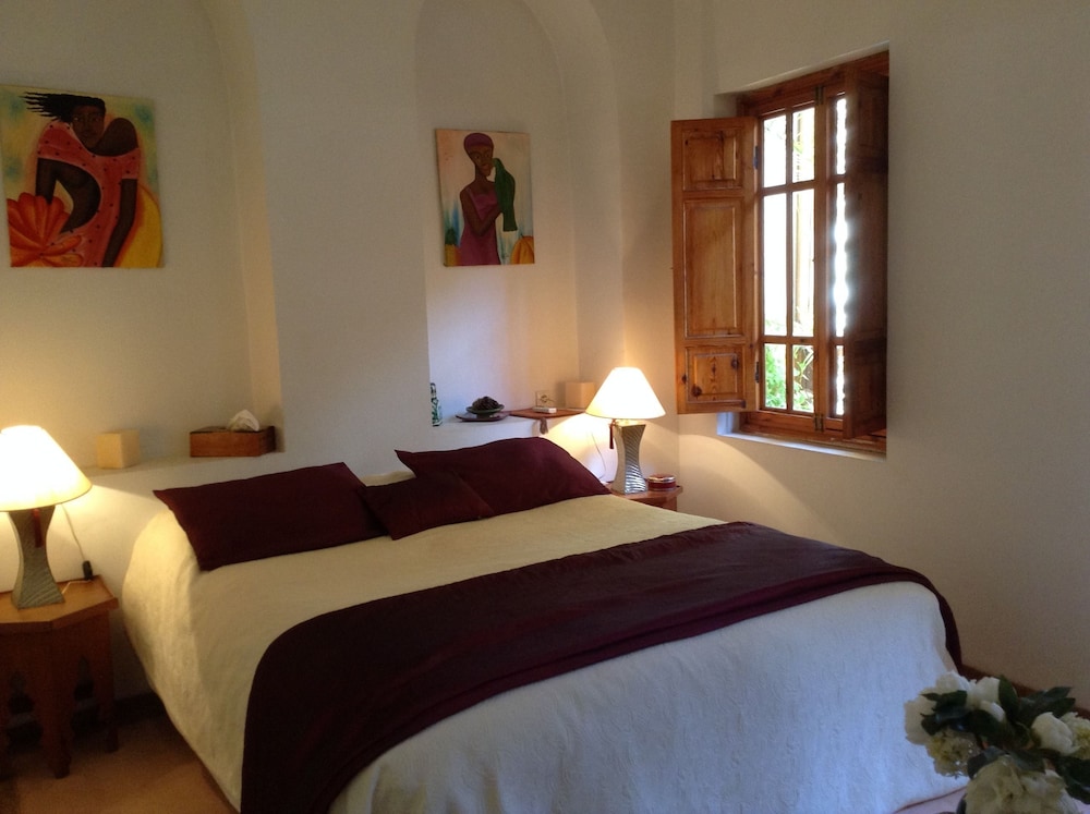 RIAD IRENE 16/50
