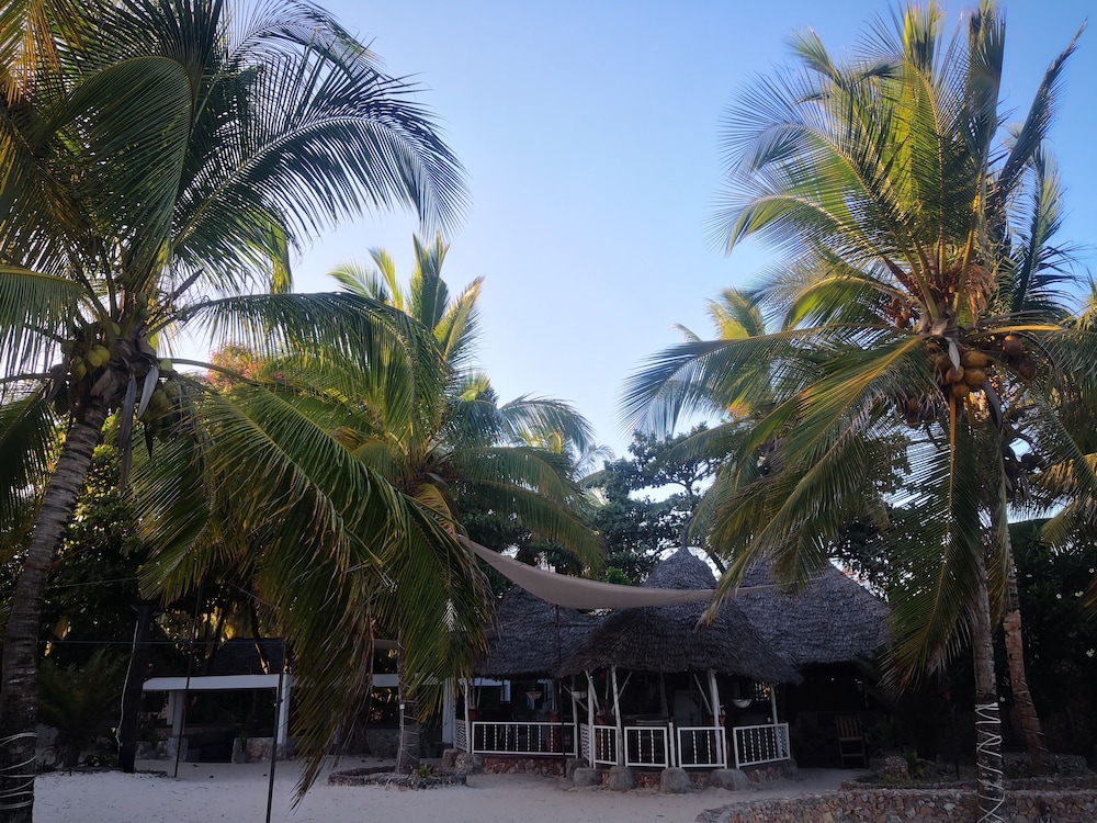 Mambo Ocean Resort 46/50