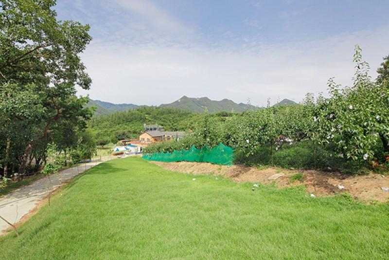 Wonju Songho Tourist Farm Pension 13/13
