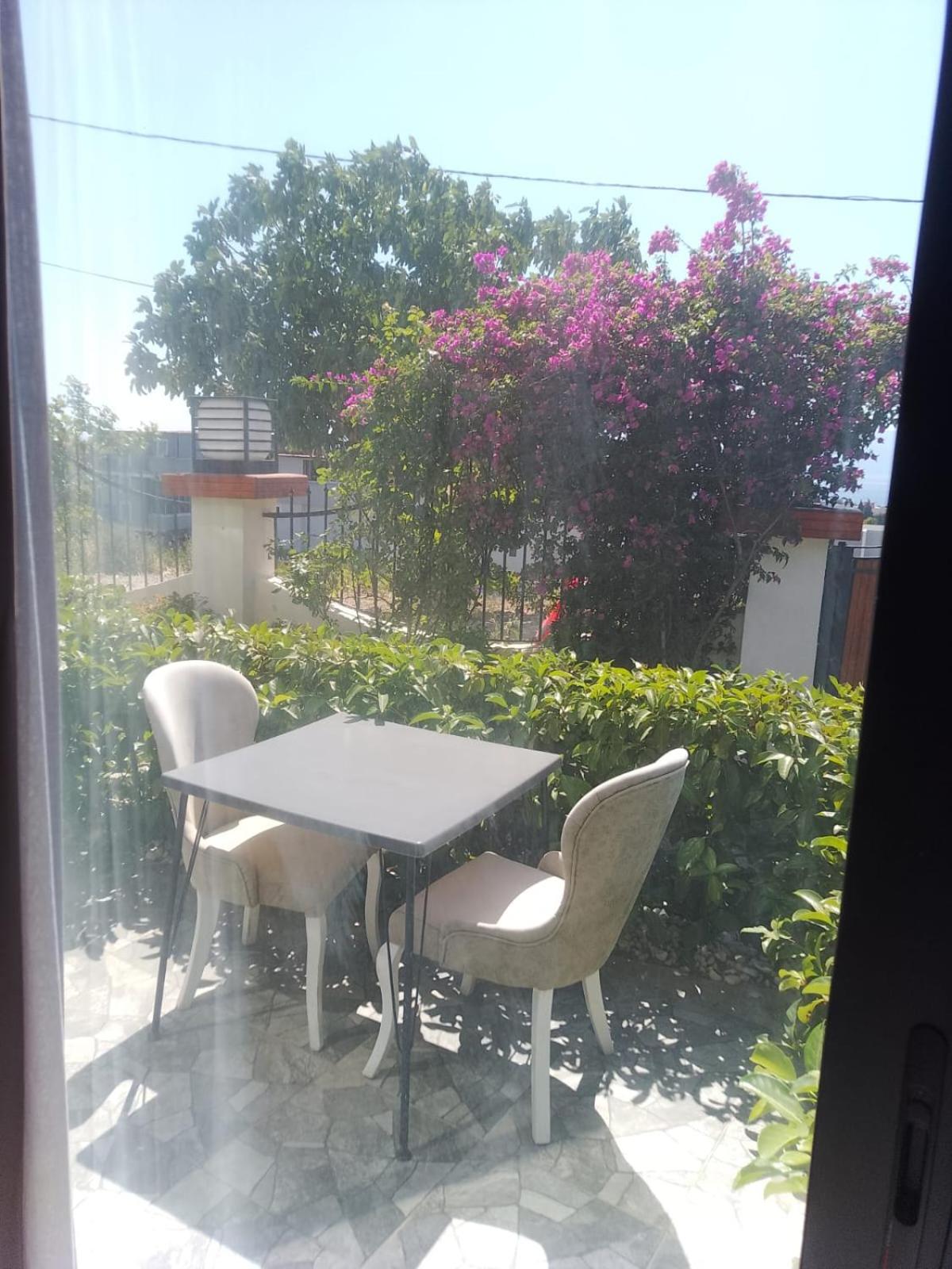 My Leos Hotel 28/50