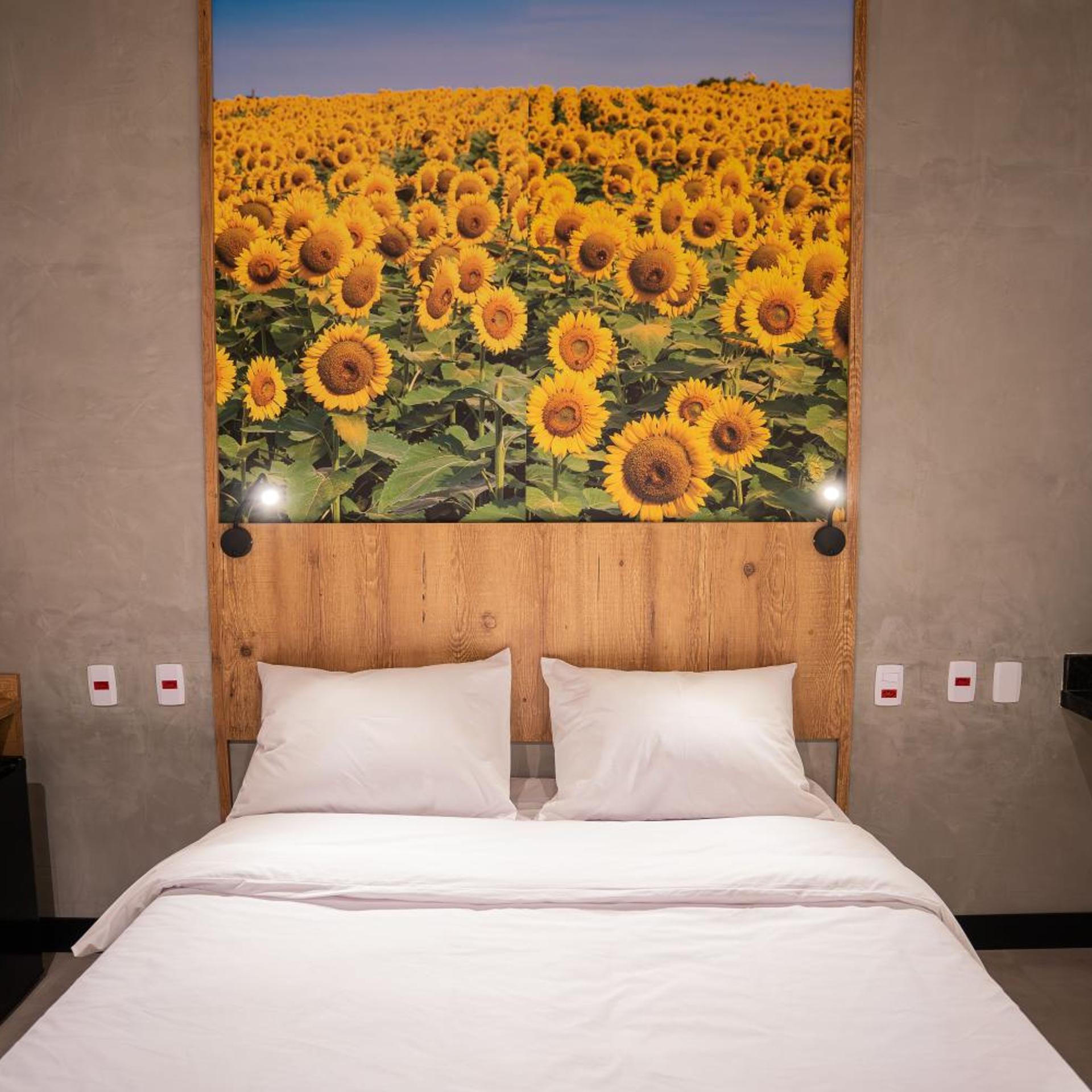 Campos de Holambra Inn 21/50