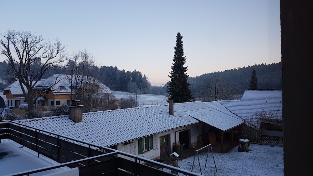 Hotel Platzhirsch 2/47