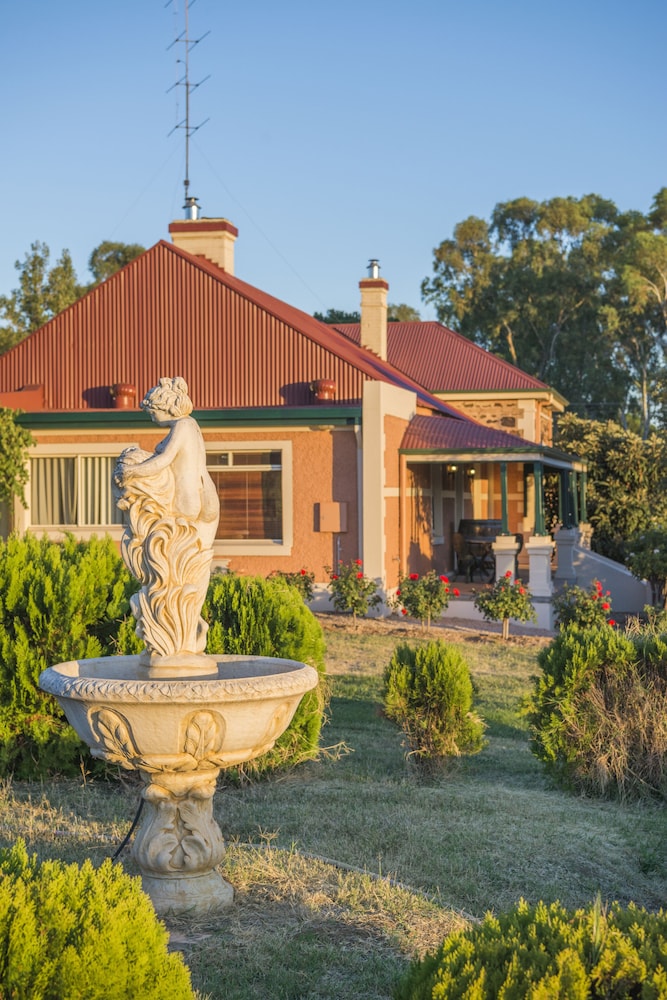 Barossa Shiraz Estate 6/50