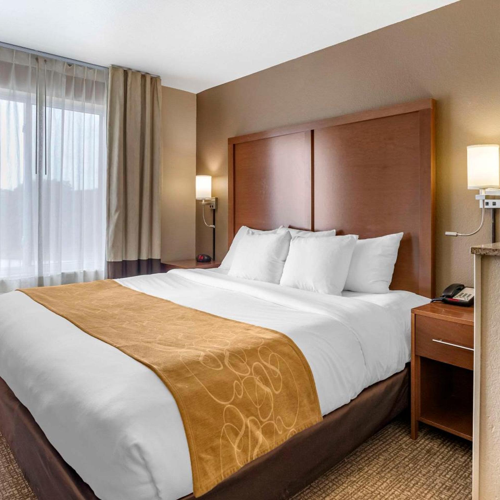 Efficiency, Suite, King Bed, Pet Friendly