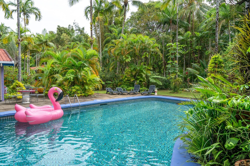 PINK FLAMINGO 26/28