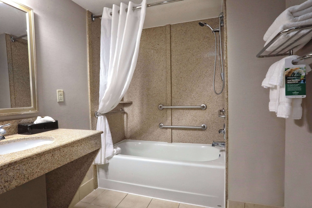 Wingate By Wyndham Savannah Pooler 30/30