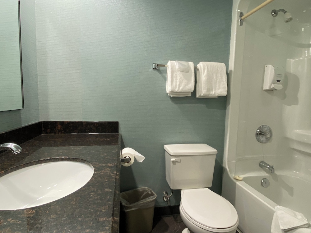Americana Conference Resort And Spa 45/50