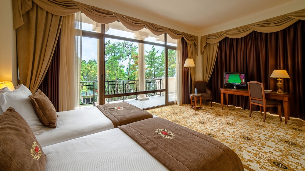 Georgia Palace Hotel & Spa Kobuleti Batumi 9/50