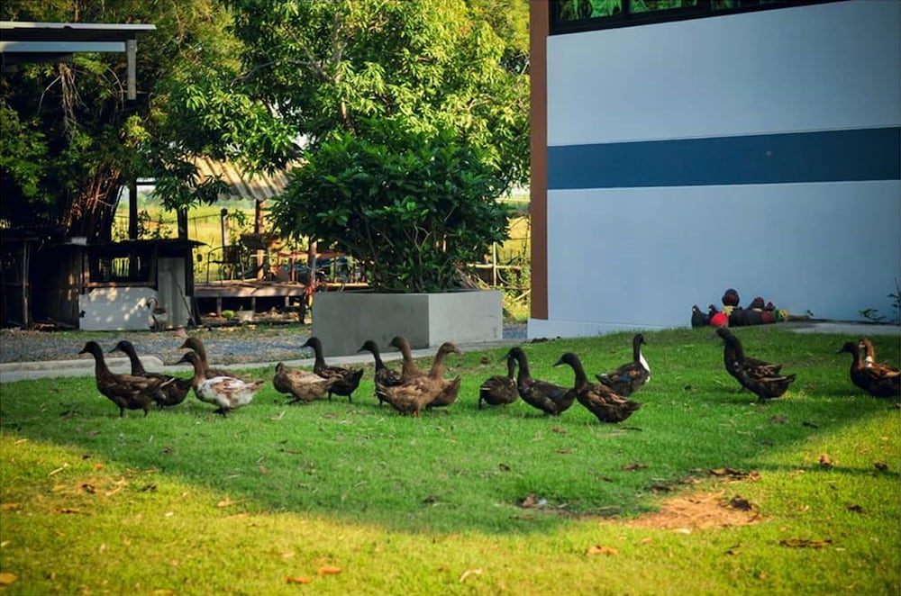 Wanlapa Farmstay 28/41