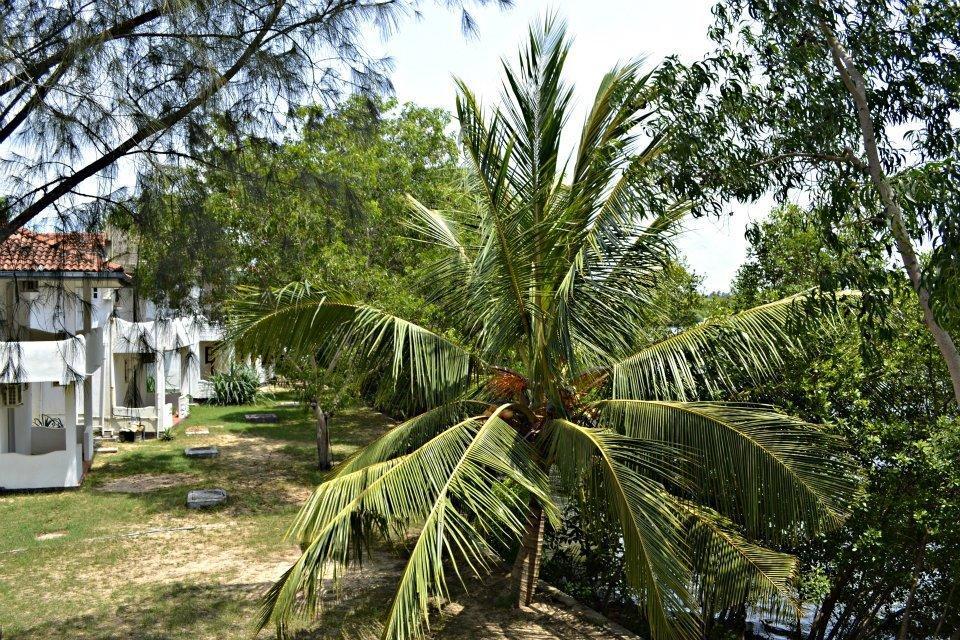 Suwaya Villa 15/22