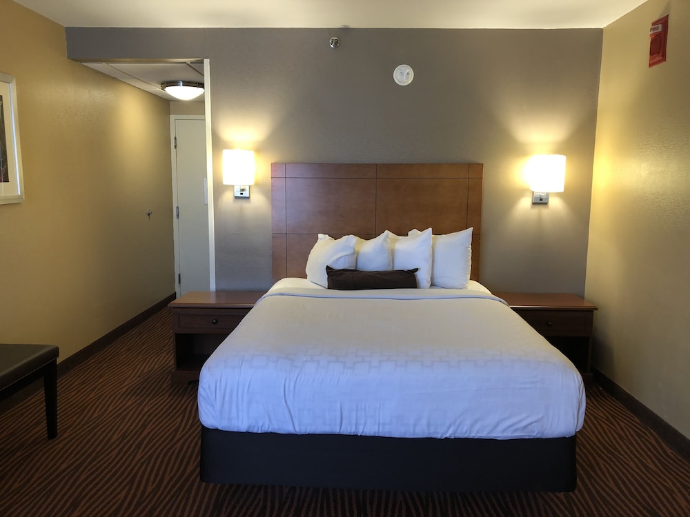 Best Western Executive Hotel Of New Haven - West Haven 11/48