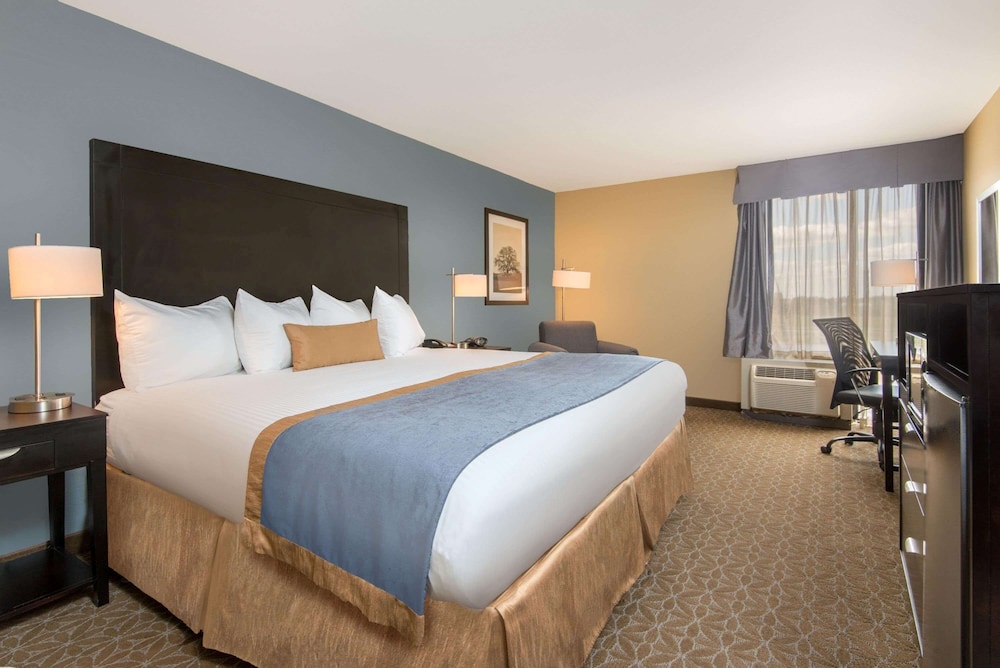 Room, King Bed