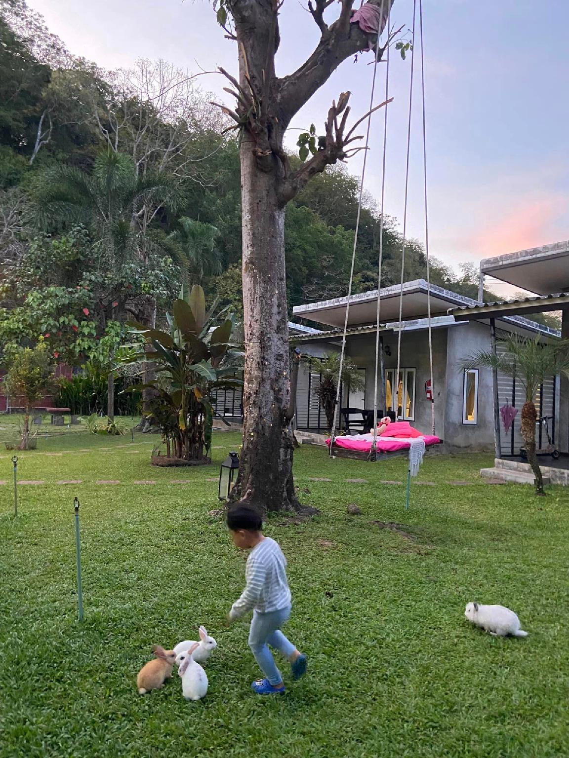 V Valley Resort 44/55