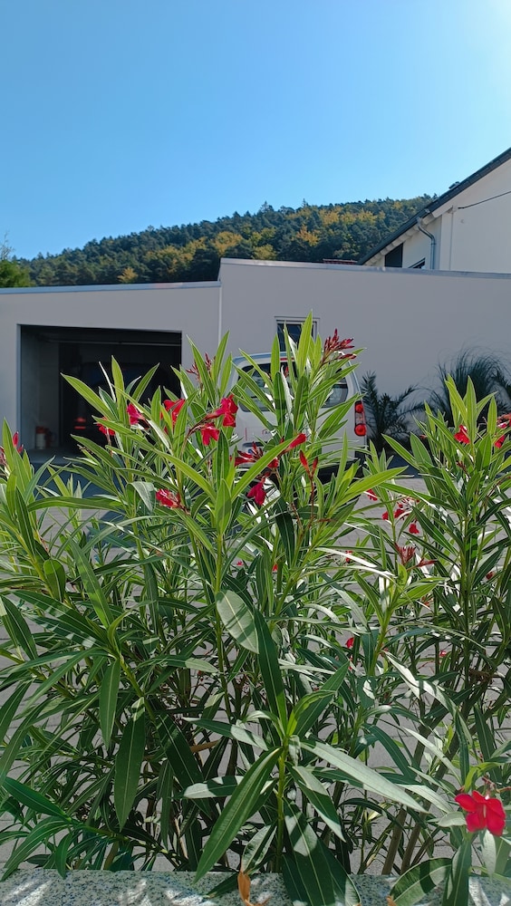 Hotel Ari 45/50