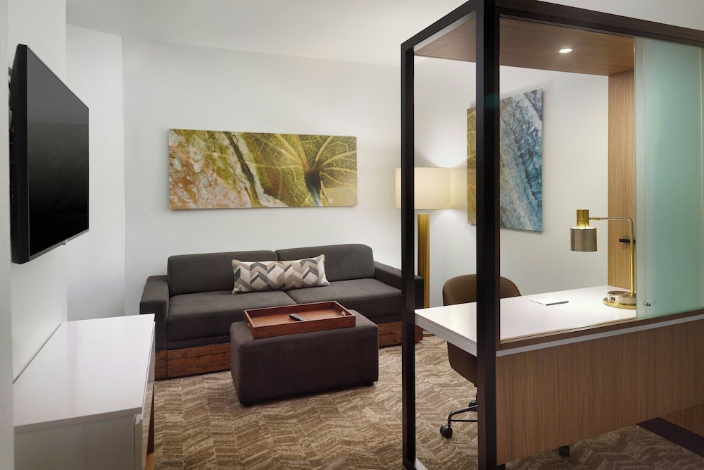 Springhill Suites By Marriott Ellijay 9/21