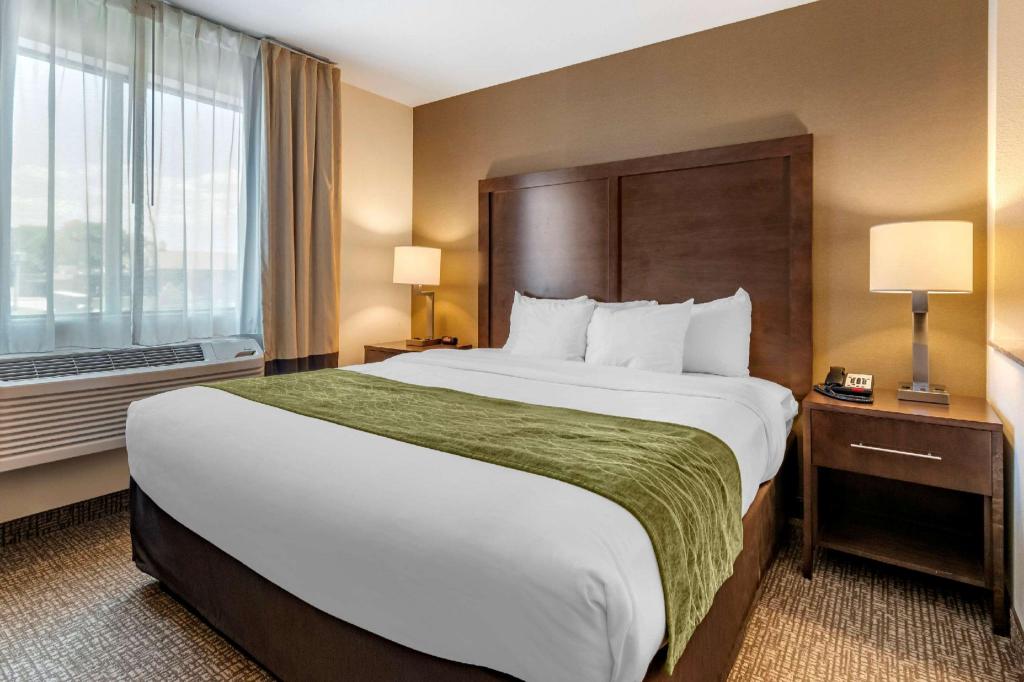 Suite, King Bed