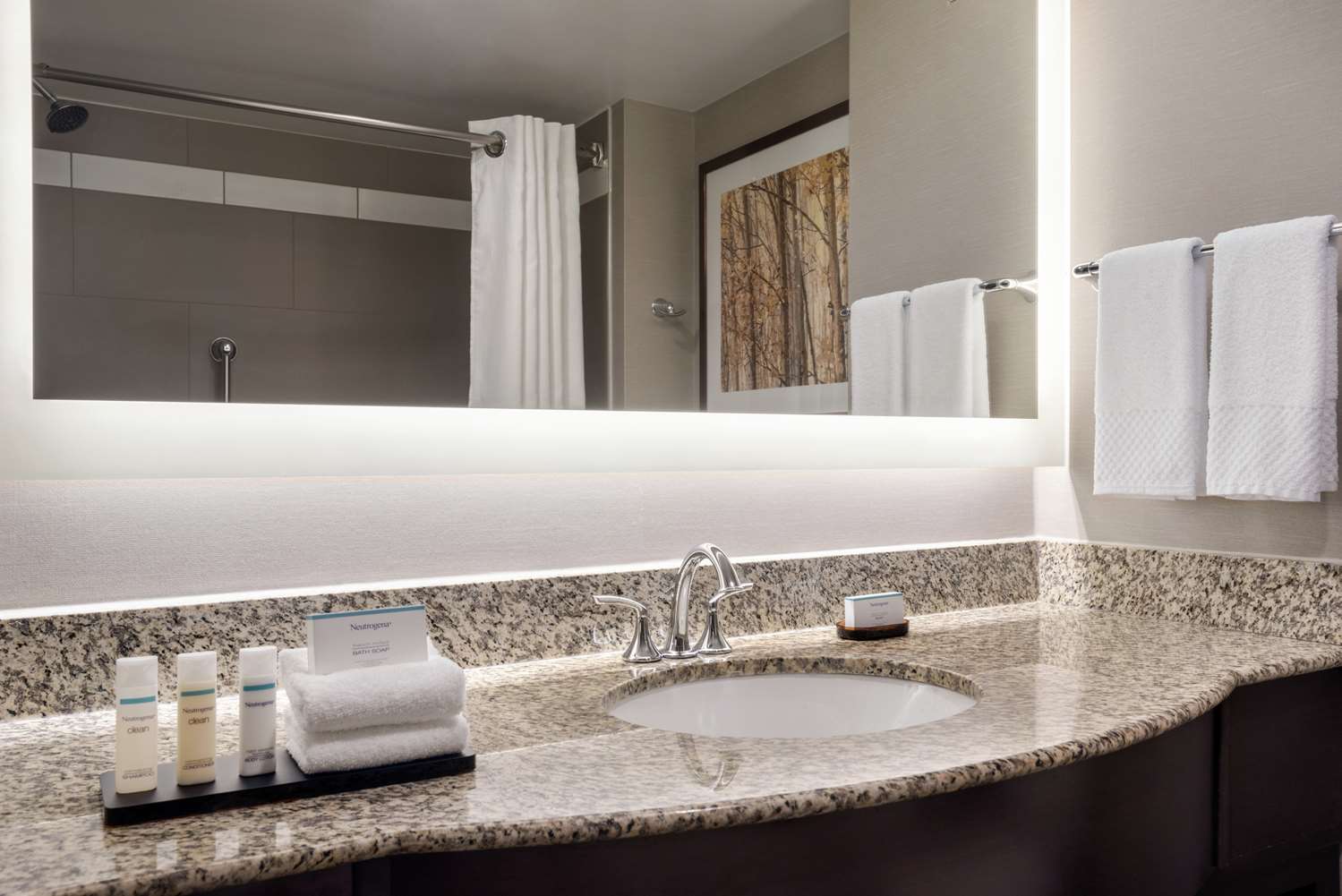 جناح بسرير كينج بغرفتين، Embassy Suites By Hilton Atlanta Alpharetta 2/3
