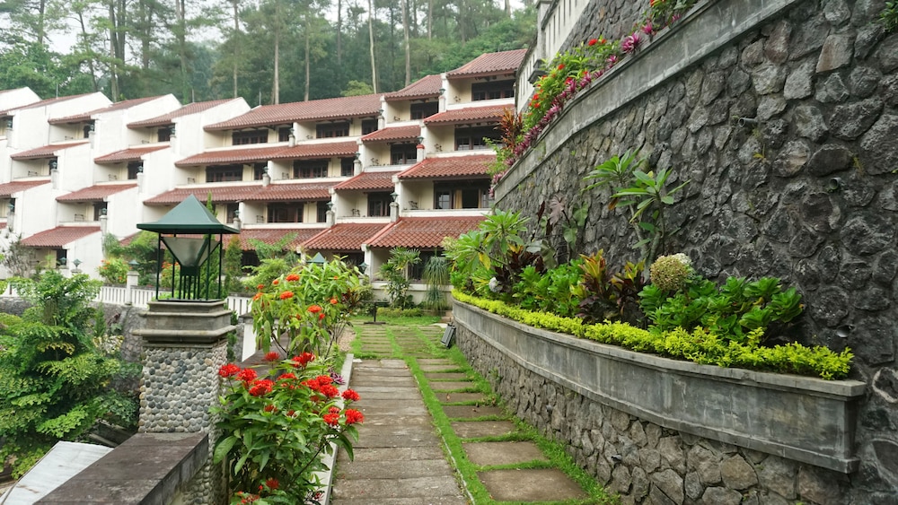 Pines Garden Resort 8/46