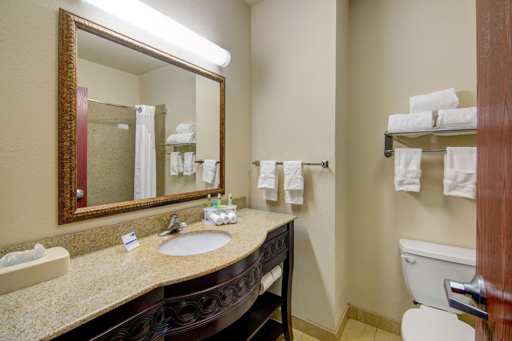 Holiday Inn Express Hotel Suites Terrell 28/64