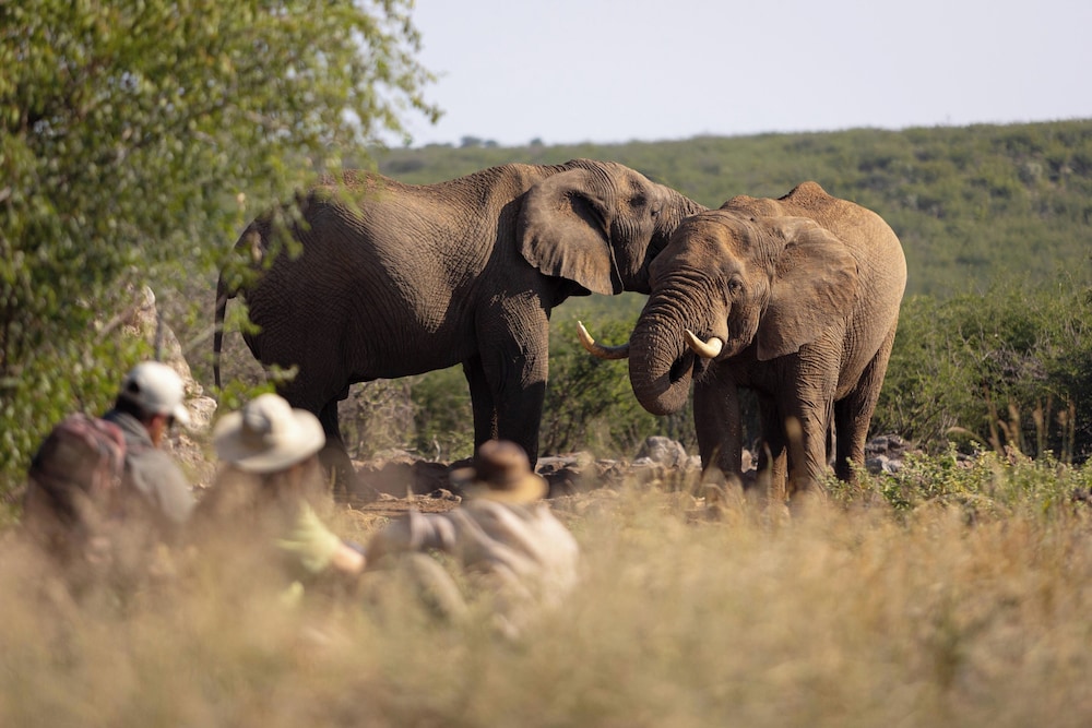 Rhulani Safari Lodge 63/76