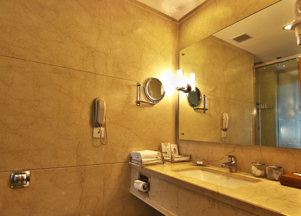Jaypee Siddharth Hotel 32/47