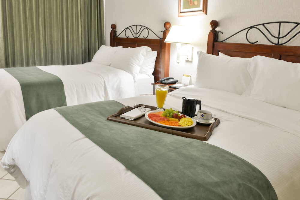 Hotel Plaza Del General 11/37