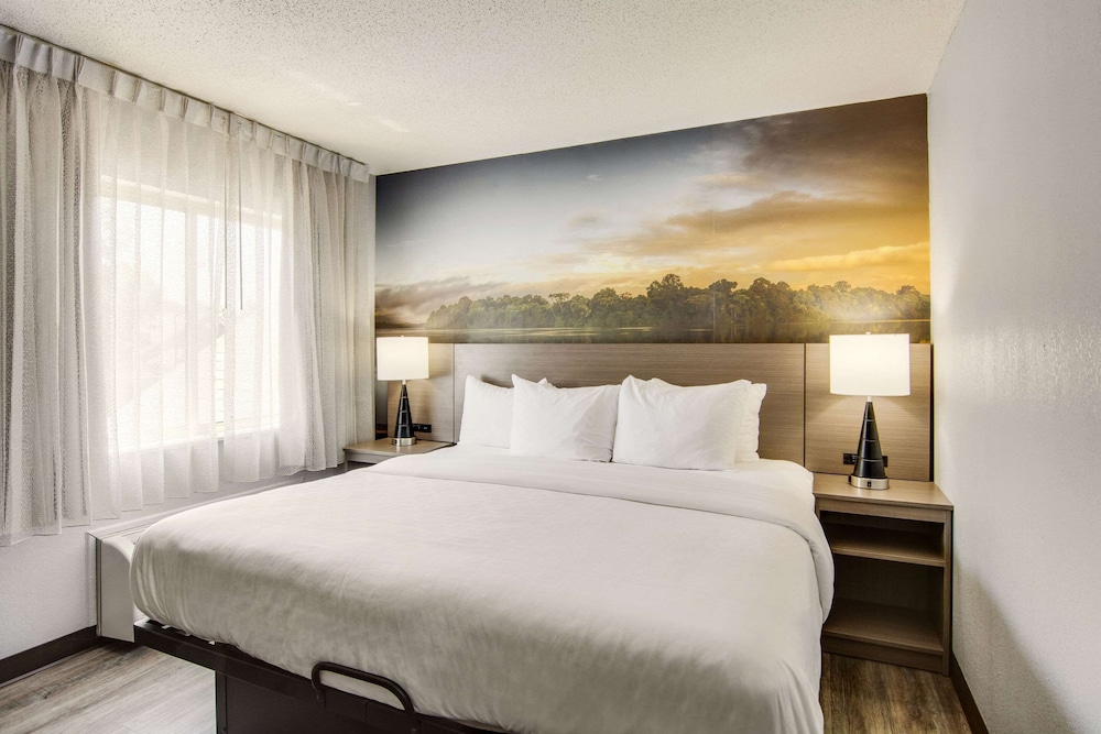 Suite, King Bed, Sofa