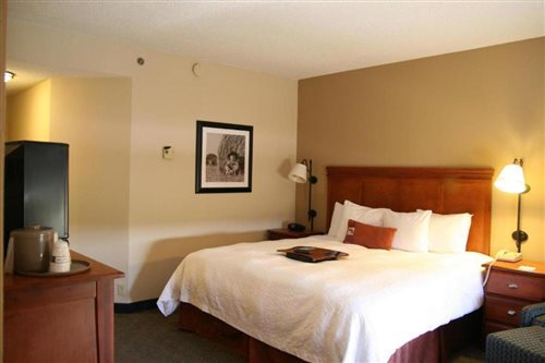 Room, King Bed, Chaise Lounge