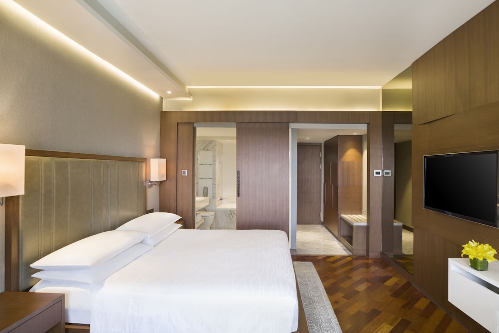 Hyatt Regency Delhi 33/72