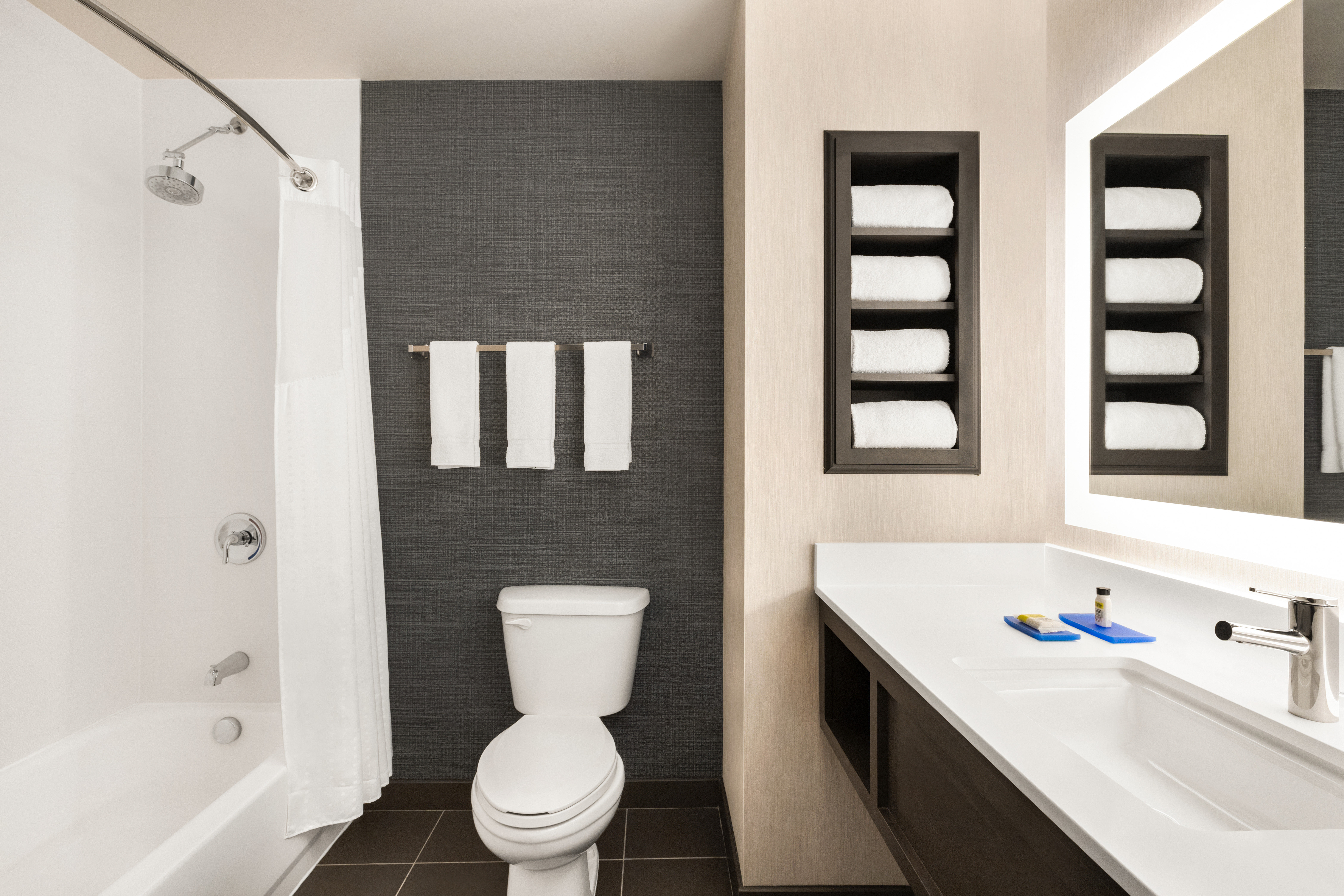 Feature, King Bed، Holiday Inn Express Hotel Suites Denver Airport 4/4