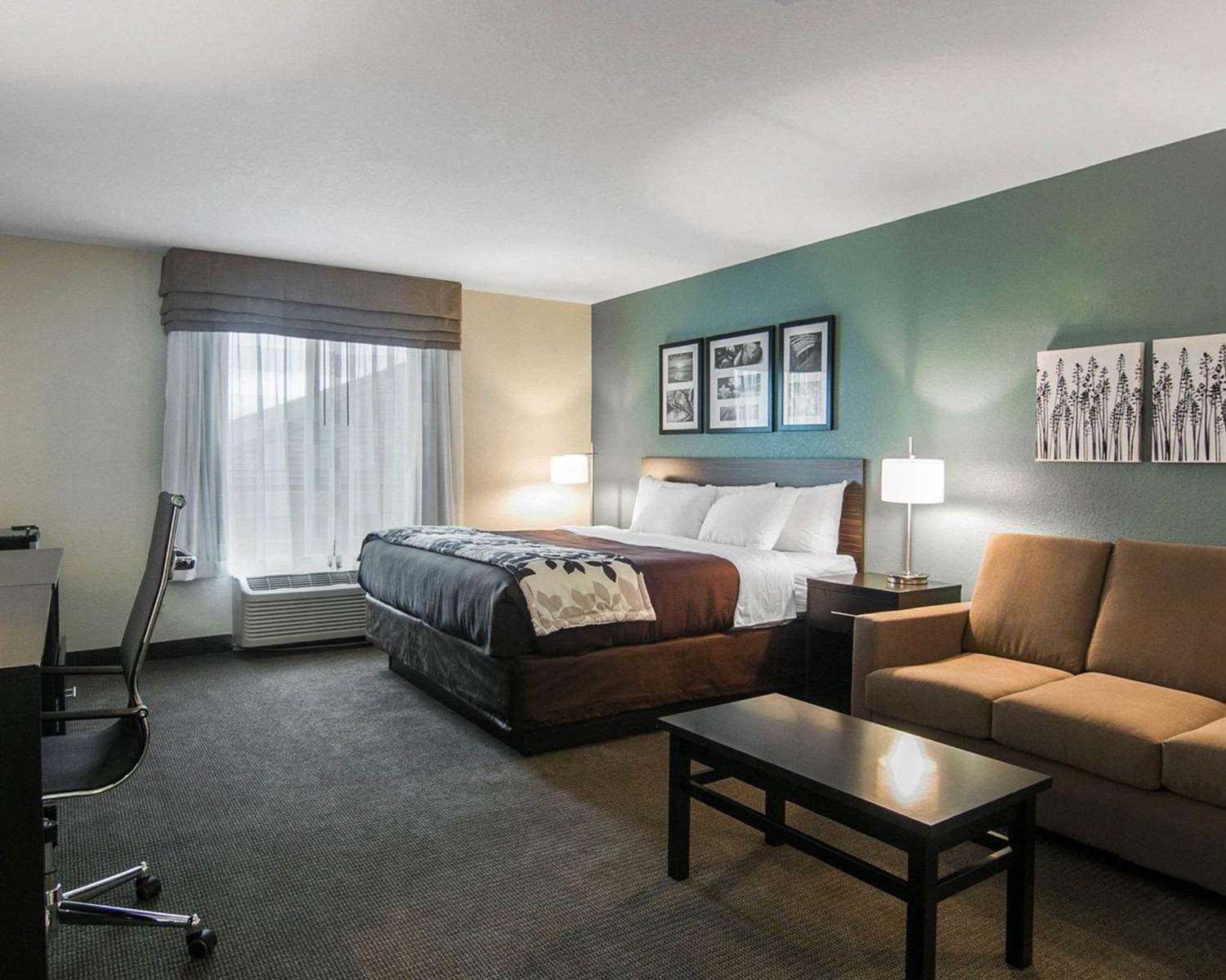 Suite, King Bed